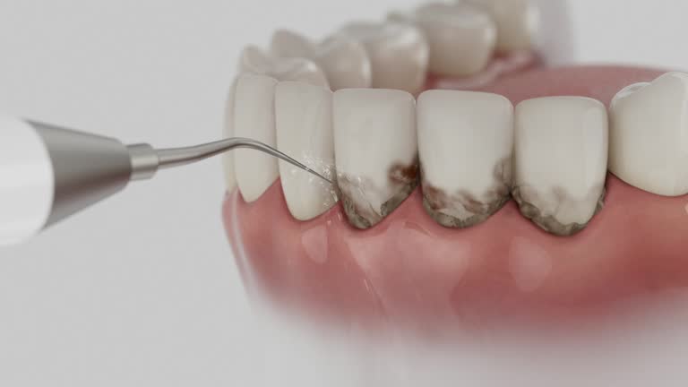 Reliable Dental contractor in Scotts Valley, CA by Dentist Open Now